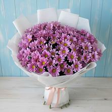 Букет цветов из:  Хризантемы в Нижнегорском