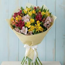 Букет цветов из:  Альстромерии #REPLACE_PRED# Нижнегорском