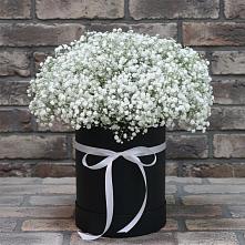 Цветочная композиция из Гипсофила в шляпной коробке в Нижнегорском