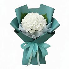 Букет цветов из:  Гортензия #REPLACE_PRED# Нижнегорском